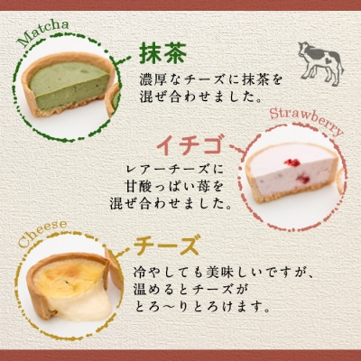 こくとろ～り チーズタルト (合計7個・5種)