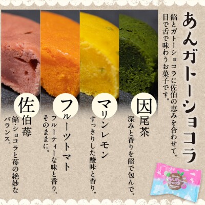 あんガトーショコラ (合計8個・4種各2個) 