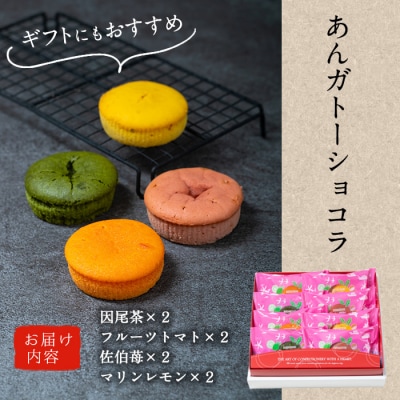 あんガトーショコラ (合計8個・4種各2個) 