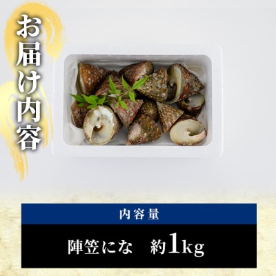 ＜お試し用＞陣笠にな (約1kg) 