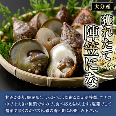 ＜お試し用＞陣笠にな (約1kg) 