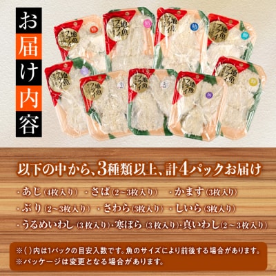 <訳あり・お試し用>地魚フライセット詰合せ (計4P・3種類以上)  
