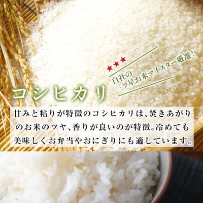 ＜令和5年産＞大分 コシヒカリ 精米済 (計10kg・2kg×5袋) 