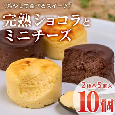 濃厚ショコラ・チーズケーキ (合計10個・2種×5個)