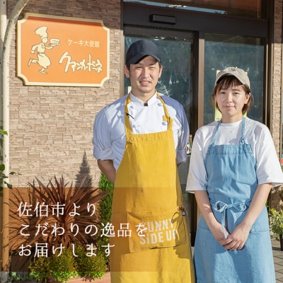 濃厚ショコラ・チーズケーキ (合計10個・2種×5個)