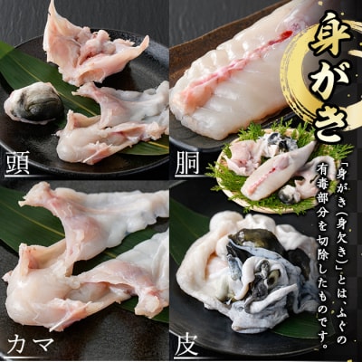 <業務用>豊後とらふぐ 1匹 青箱入 (約800g前後) 