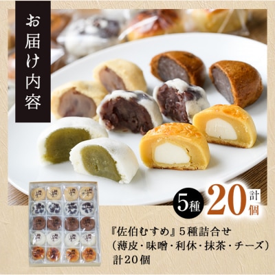 ひとくちまんじゅう 佐伯むすめ (計20個・5種×4個) 