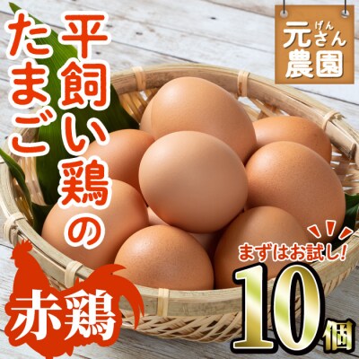 ＜お試し用＞ 元さん農園 平飼い赤鶏のたまご (計10個) 