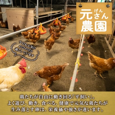 ＜定期便・全6回 (連続)＞平飼い赤鶏のたまご (総量180個・S-Mサイズ30個×6回) 
