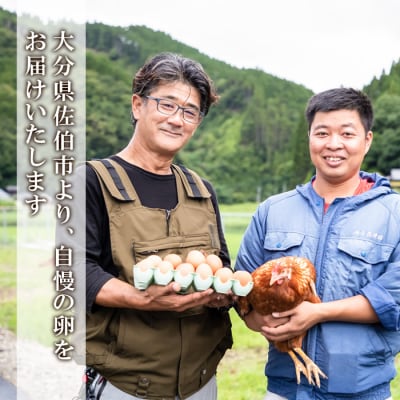 ＜定期便・全6回 (連続)＞平飼い赤鶏のたまご (総量180個・S-Mサイズ30個×6回) 