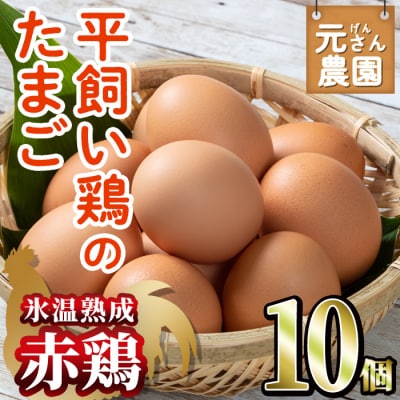 ＜氷温熟成＞平飼い赤鶏のたまご 黄嬉 (計10個) 元さん農園