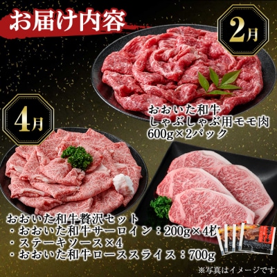 ＜定期便・全6回 (隔月)＞おおいた和牛 定期便 (総量6kg)  