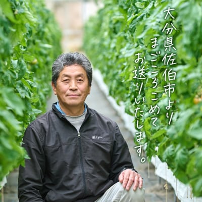 <先行受付中!2026年2月より順次発送予定>塩熟トマト KitachiRosso (計600g)