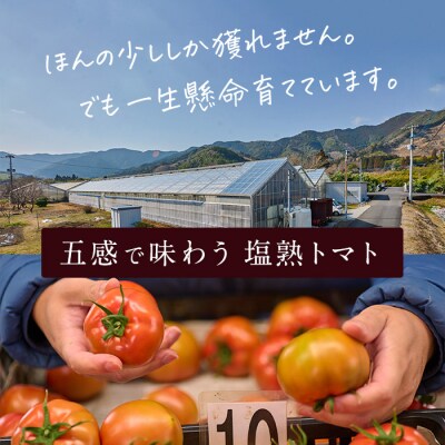 <先行受付中!2025年4月より順次発送予定>塩熟トマト KitachiRosso (計600g) 