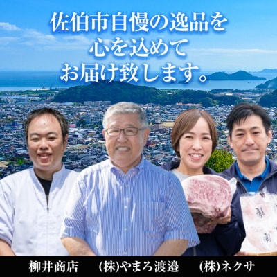 <2027年1月中旬より配送開始予定><定期便・全4回>味力全開!佐伯の彩り 春夏秋冬 定期便
