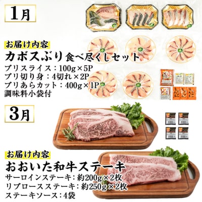<2027年1月中旬より配送開始><定期便・全4回>味力全開!佐伯の煌き 春夏秋冬 定期便