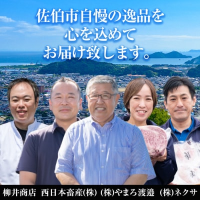 <2027年1月中旬より配送開始><定期便・全4回>味力全開!佐伯の煌き 春夏秋冬 定期便