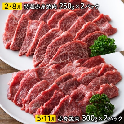 <定期便・全4回)>おおいた和牛 低温熟成 赤身 焼肉 お楽しみ 定期便 (3ヶ月ごとにお届け) 