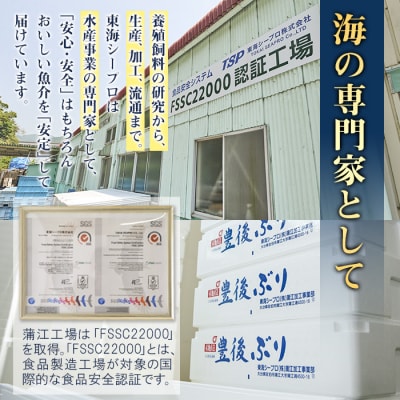 豊後ぶりフィーレ (計約1.1kg)