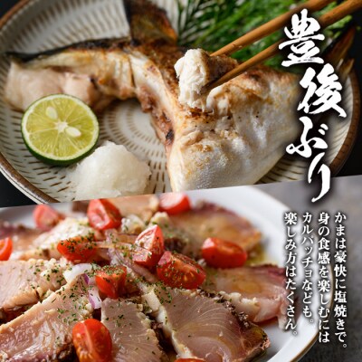 <先行予約受付中!2025年12月に順次発送予定>豊後ぶり半身セット (合計1kg以上)