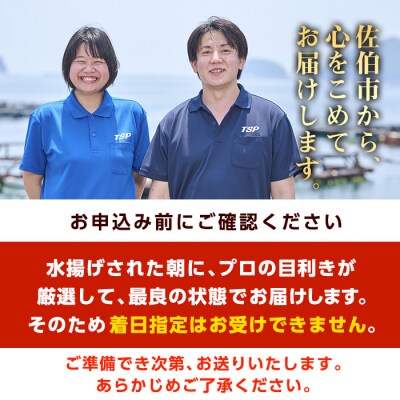豊後ぶり半身セット (合計1kg以上)