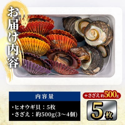 ヒオウギ貝 (5枚)とサザエ (約500g) 