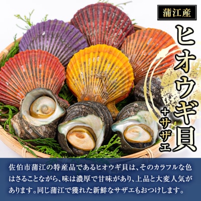 ヒオウギ貝 (5枚)とサザエ (約500g) 