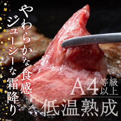 おおいた和牛 カルビ 焼肉 (300g) 