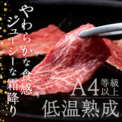 おおいた和牛 トウガラシ 焼肉 (300g)  