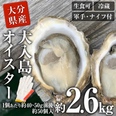 牡蠣1グランプリ最高金賞受賞!真ガキ 大入島オイスター<生食可・シングルシード養殖>(約2.6kg)