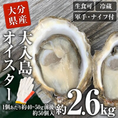 牡蠣1グランプリ最高金賞受賞!真ガキ 大入島オイスター<生食可・シングルシード養殖>(約2.6kg)