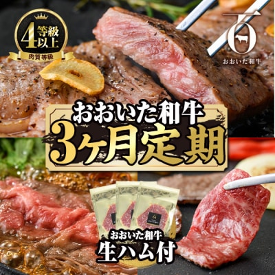 <定期便・全3回(連続)>豊後牛・おおいた和牛定期便(総量1.75kg)