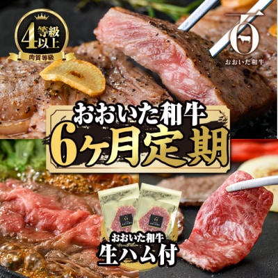 <定期便・全6回(連続)>豊後牛・おおいた和牛定期便(総量2.4kg) 