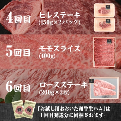 <定期便・全6回(連続)>豊後牛・おおいた和牛定期便(総量2.4kg) 