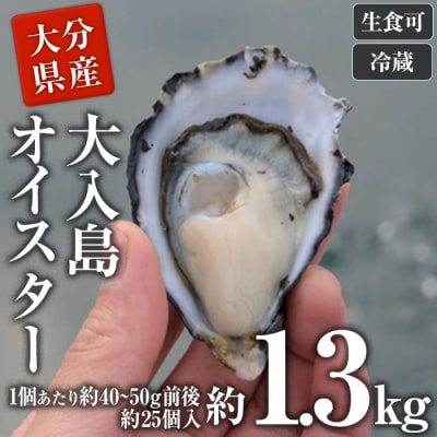 真ガキ 大入島オイスター ＜生食可・シングルシード養殖＞ (約1.3kg) 