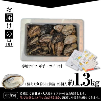 牡蠣1グランプリ最高金賞受賞!真ガキ 大入島オイスター<生食可・シングルシード養殖>(約1.3kg)