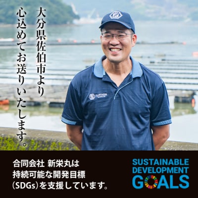 真ガキ 大入島オイスター ＜生食可・シングルシード養殖＞ (約1.3kg) 