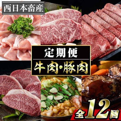 <定期便・全12回 (連続)>牛肉 豚肉 バラエティ定期便 (12か月毎月お届け) 