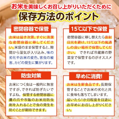 <令和7年産><新米><定期便・3回 (連続)>大分ひのひかり (総量15kg・5kg×3ヶ月)