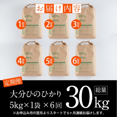 <令和7年産><定期便・6回 (連続)>大分ひのひかり (総量30kg・5kg×6ヶ月)