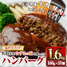 佐伯市の「なずなの塩」使用 !大分の恵みハンバーグ (計約1.6kg・160g×10個) 