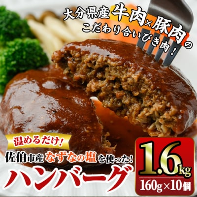佐伯市の「なずなの塩」使用 !大分の恵みハンバーグ (計約1.6kg・160g×10個) 