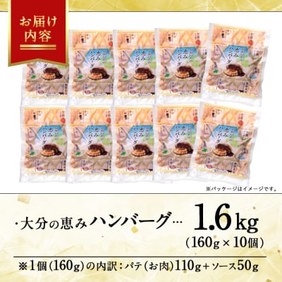 佐伯市の「なずなの塩」使用 !大分の恵みハンバーグ (計約1.6kg・160g×10個) 