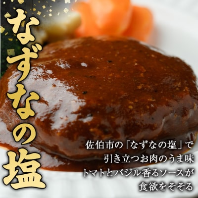 佐伯市の「なずなの塩」使用 !大分の恵みハンバーグ (計約1.6kg・160g×10個) 