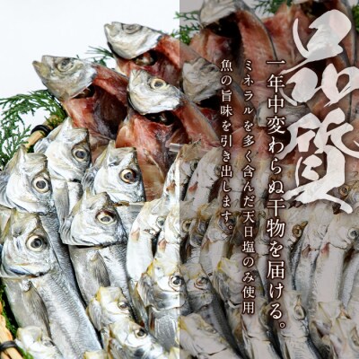 干物三昧セット (合計35尾以上・6種) 