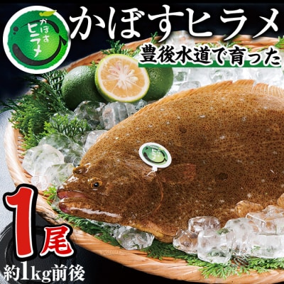  かぼすヒラメ (1尾・約1kg前後)  