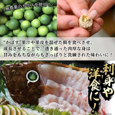  かぼすヒラメ (1尾・約1kg前後)  