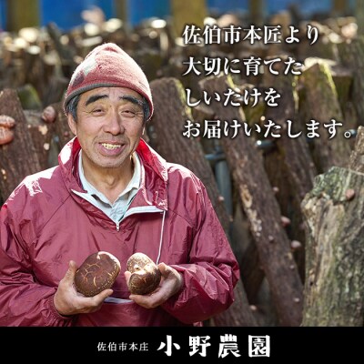 原木 乾しいたけ (計210g・70g×3P)