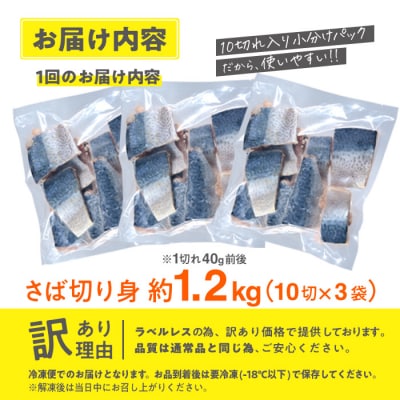 訳あり・鯖 切り身(総計約1.2kg・30切)