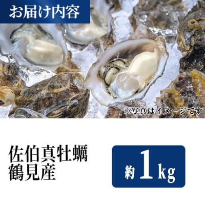 佐伯真牡蠣 鶴見産 (約1kg)